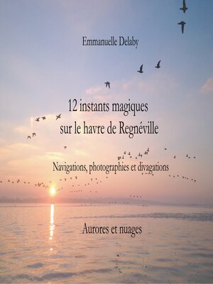 cover image of 12 instants magiques sur le havre de Regnéville